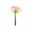 Pink 5 Head Peony Bunch 30cm