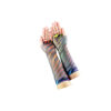 Rainbow Zebra Design Fishnet Gloves