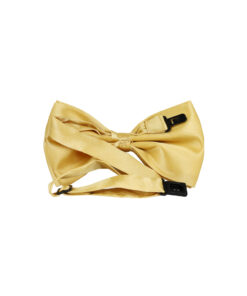 Alternative view of Gold Bow Tie