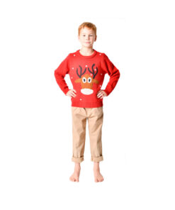 Xmas Jumper Reindeer 155