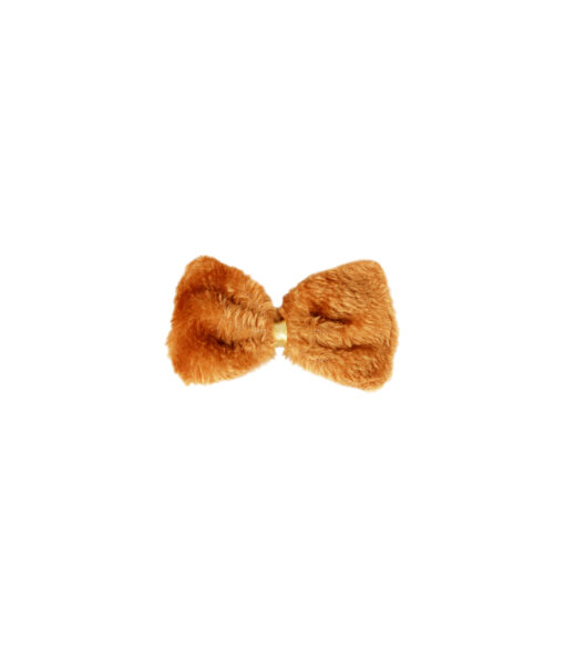 Lion Accessory Set – LookSharpStore