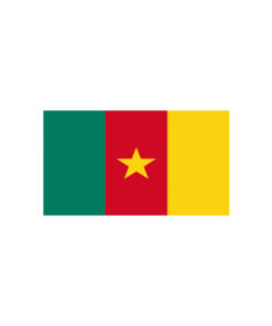 Cameroon Flag 90x150cm