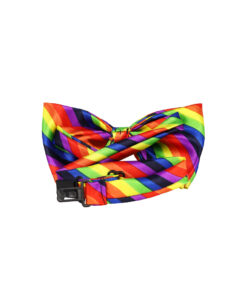 Alternative view of Rainbow Bow Tie