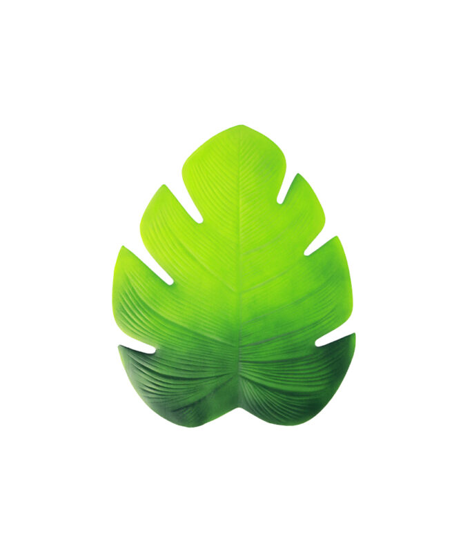 EVA Leaf Placemat 46x37cm LookSharpStore