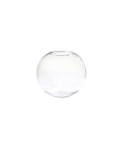 Round Glass Fish Bowl 13cm