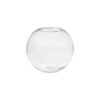 Round Glass Fish Bowl 16cm