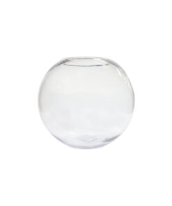 Round Glass Fish Bowl 22cm