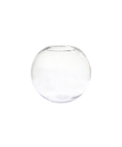 Round Glass Fish Bowl 22cm