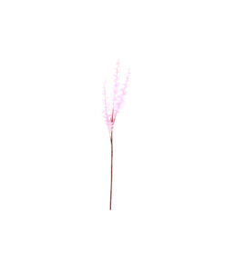 Pink Eucalyptus Stem 76cm