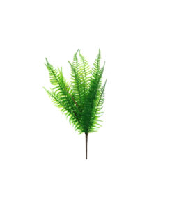Dark Green Colour Fern 65cm