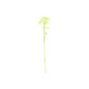 Baby's Breath Stem 61cm