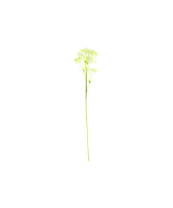 Baby's Breath Stem 61cm