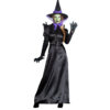 Green Witch Adult
