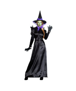 Green Witch Adult