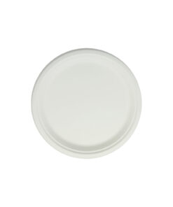 Biodegradable Plate 10in 25pc