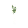 Light Green Eucalyptus Stem 67cm