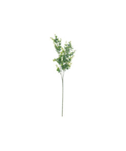 Light Green Eucalyptus Stem 67cm