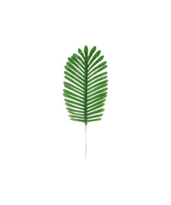Dark Green Needle Leaf Stem 55cm