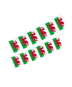 Wales Flag Bunting 5m