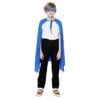 blue mask and cape set