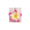 Hot Pink & Yellow Frangipani Hair Claw Clip 1pc