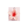 Salmon Pink Frangipani Hair Claw Clip 1pc