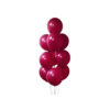 Burgundy Latex Balloons 12inch 20pk