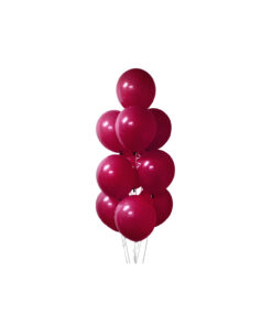 Burgundy Latex Balloons 12inch 20pk