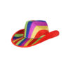 Rainbow Cowboy Hat