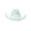 White Cowboy Hat With Feathers