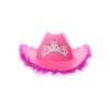 Hot Pink Cowboy Hat With Feathers