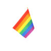 Rainbow Flag On Stick