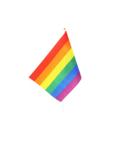Rainbow Flag On Stick