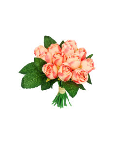 Alternative view of Champagne Fragrance Rose 17 Bunch 12 Head 24cm
