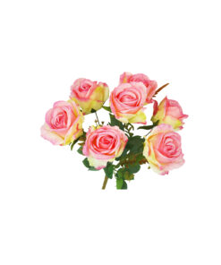 2 Tone Hot Pink & Cream Rose Bunch 41cm