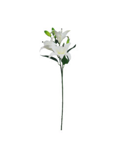 Alternative view of White Big Lily 3 Head 82cm