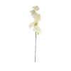 Light Orange Cherry Blossom Stem 96cm
