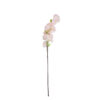 Light Peach Single Cherry Blossom 96cm