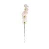 Light Peach Cherry Blossom Stem 96cm