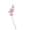 Peach Single Cherry Blossom 96cm