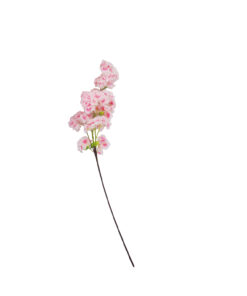 Peach Single Cherry Blossom 96cm
