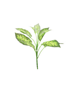 Striped Evergreen Leaf 9 Head 36cm