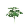 Striated Monstera 9 Head 28cm