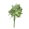 Scindapsus Striped Leaf 9 Head 31cm
