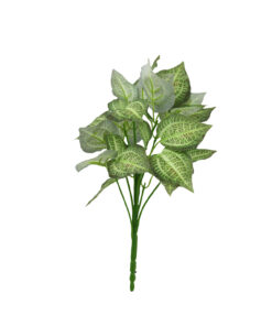 Scindapsus Striped Leaf 9 Head 31cm