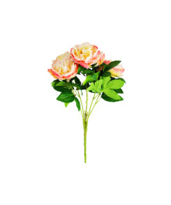 Peach Peony 5 Head 48cm