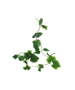 Alternative view of Green & Yellow Maple Leaf Cane 275cm