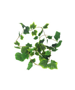 Green & Yellow Maple Leaf Cane 275cm