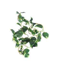 Green Plantsvane 275cm