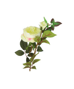 Alternative view of White Rose Bud 2 Head 66cm